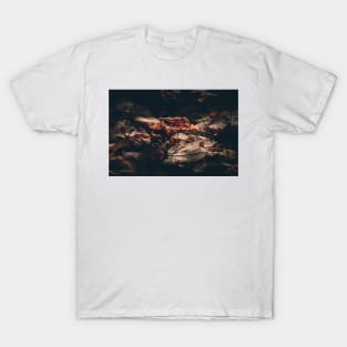 Autumn Leaves T-Shirt